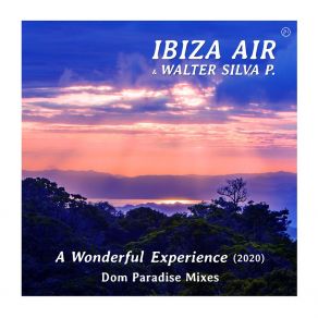 Download track A Wonderful Experience (Dom Paradise Remix 2020) Walter Silva PDom Paradise