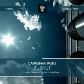 Download track Burkut (Starbeam Remix) Carpathian Paths