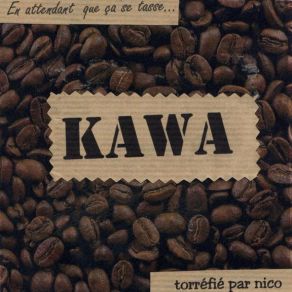 Download track LES APPARATS DE LA PUDEUR KAWA