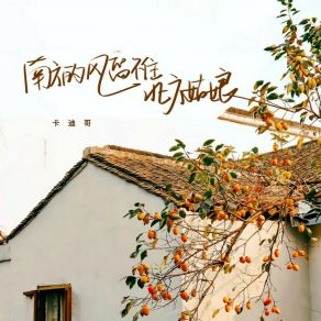 Download track 南方的风留不住北方姑娘 卡迪哥