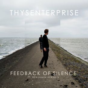 Download track Feedback Of Silence Benjamin Herman