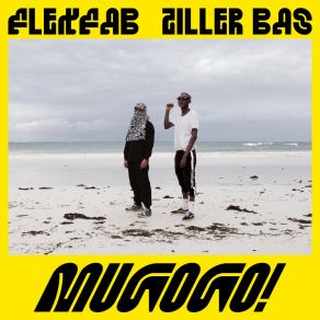 Download track Mush It Up! Ziller BasBranco Branks