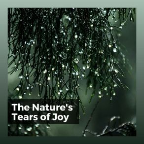 Download track Penfriend Rain Nature Soundscapes