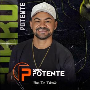 Download track Não Precisa Negar FORRO POTENTE