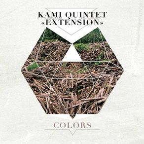 Download track Terre Rouge Kami Quintet Extension