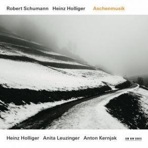 Download track Sechs Stücke In Kanonischer Form, Op. 56: V. Nicht Zu Schnell Heinz Holliger, Anton Kernjak, Anita Leuzinger