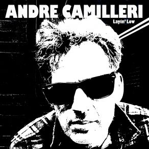 Download track Laying Low Andre Camilleri