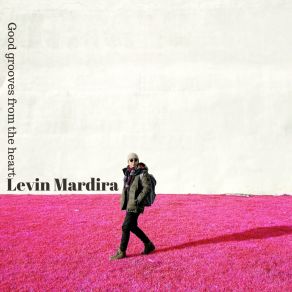 Download track Levin's Groove Levin Mardira