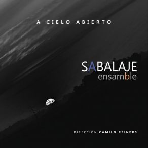 Download track Horizonte Sabalaje EnsambleValentin Reiners, Julián Mekler, Andrés Reboratti, Gonzalo Braz