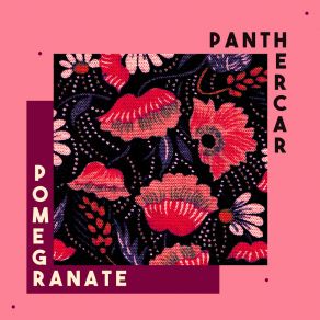 Download track Cool Lies Panther Car