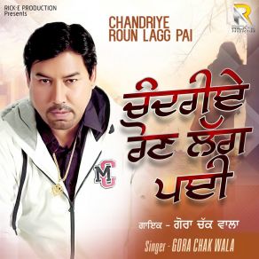 Download track Aa Baith Yarran Koi Gal Kariye Gora Chak Wala