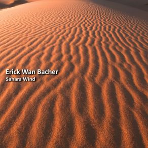 Download track Noise Confusion Erick Wan Bacher