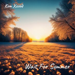 Download track Wait For Summer Кот Холод