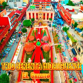 Download track Enamorado TRIO SERENATA HIDALGUENSECasiano Martinez Hernandez