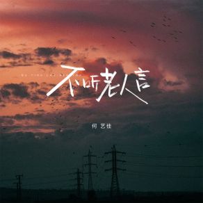 Download track 不听老人言 何艺佳