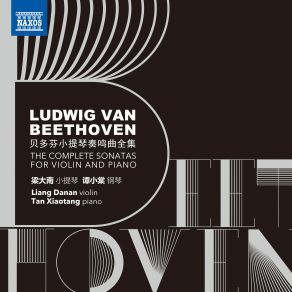 Download track Violin Sonata No. 7 In C Minor, Op. 30 No. 2: IV. Finale. Allegro - Presto Xiaotang Tan, DaNan Liang