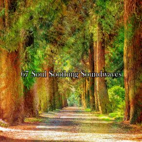 Download track Spiritual Succession Ambiente