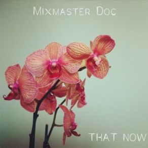 Download track Cancellation Dub Mixmaster Doc