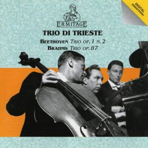 Download track Trio For Piano, Violin And Cello No. 2 In C Major, Op. 87 II. Andante Con Moto Trio Di Trieste, Amadeo Baldovino, Dario De Rosa, Renato Zanettovich