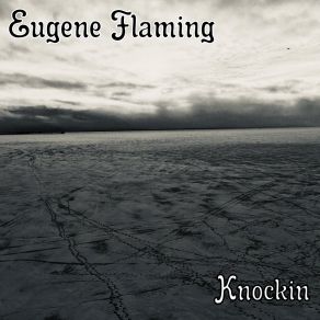 Download track Delhi Midday Eugene Flaming