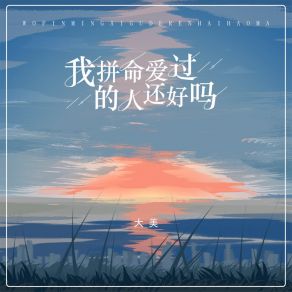 Download track 我拼命爱过的人还好吗 (女版伴奏) 大美