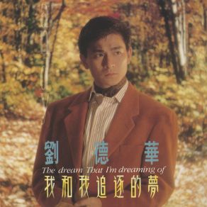 Download track Wo He Wo Zhui Zhu De Meng Andy Lau