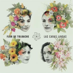 Download track Regresa Ya Flor De Toloache