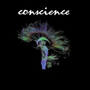 Download track Conscience (Day Man Dream) Nell Silva