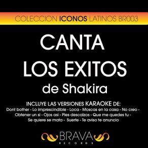 Download track Que Me Quedes Tu (Karaoke Version) [Originally Performed By Shakira] Brava HitMakers