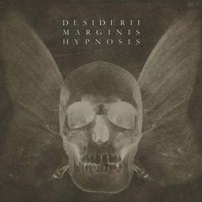 Download track Wake Desiderii Marginis