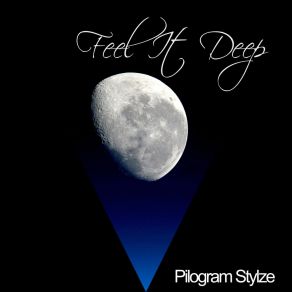 Download track Own Your Life Pilogram Stylze