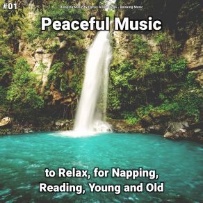 Download track Peaceful Music, Pt. 67 Relaxing Music