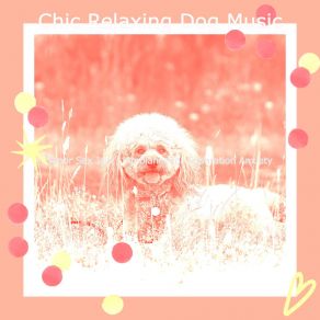 Download track Vibrant Jazz Trio - Vibe For Sleepy Pups Chic Relaxing Dog Music