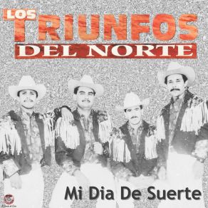 Download track Que Bonito Es El Amor Los Triunfos Del Norte