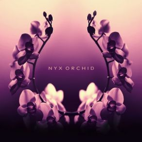 Download track Gorgons Nyx Orchid