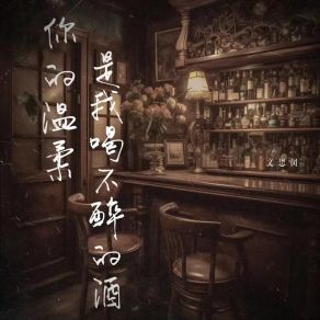 Download track 你的温柔是我喝不醉的酒 (Dj沈念版伴奏) 文思闵J沈念