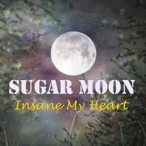 Download track Insane My Heart Sugar Moon