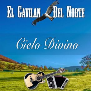 Download track Como Rey En El Palacio El Gavilan Del Norte