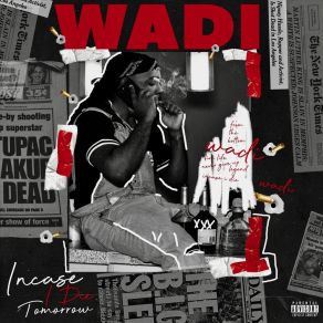 Download track Nasty WadiAvie