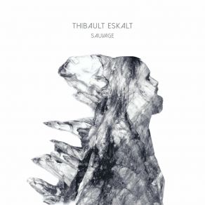 Download track Les Désorientés Thibault Eskalt