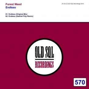 Download track Endless (Original Mix) Forest Weed