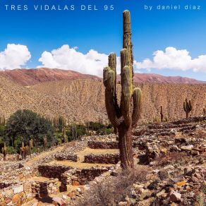 Download track Vidala Del Metán Daniel Diaz