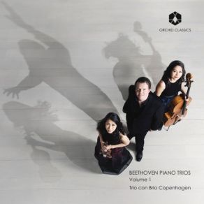 Download track Piano Trio No. 1 In E-Flat Major, Op. 1 No. 1: I. Allegro Trio Con, Brio Copenhagen