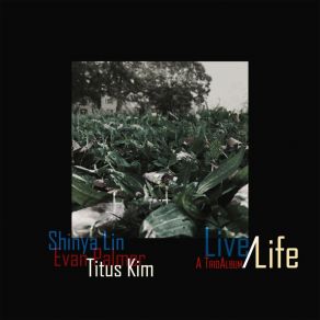 Download track On Green Dolphin Street Shinya Lin TrioEvan Palmer, Titus Kim