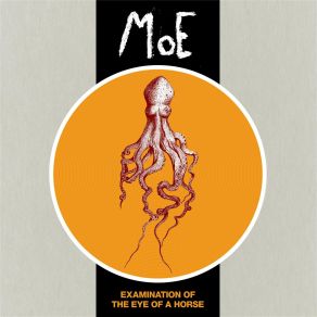 Download track Saccades And Fixations Moe