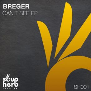 Download track Radek Breger