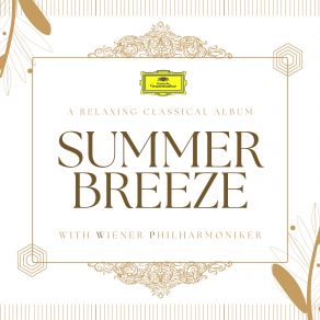 Download track Violin Concerto In D, Op. 35, TH. 59: 2. Canzonetta: Andante (Excerpt / Live At Grosser Saal, Musikverein, Wien / 2003) Anne-Sophie Mutter, Wien