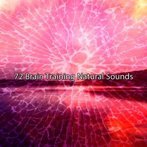 Download track Brief Enclosing Peace White Noise Research