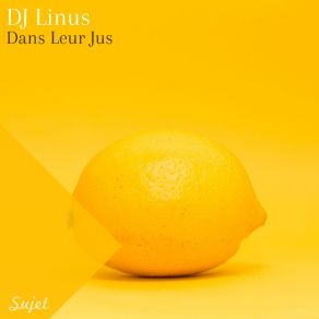 Download track Dans Leurs Jus DJ Linus