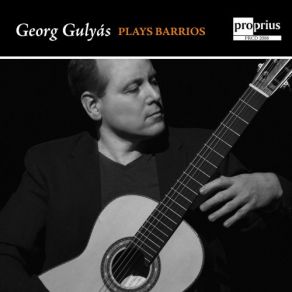 Download track Aire De Zamba Georg Gulyas